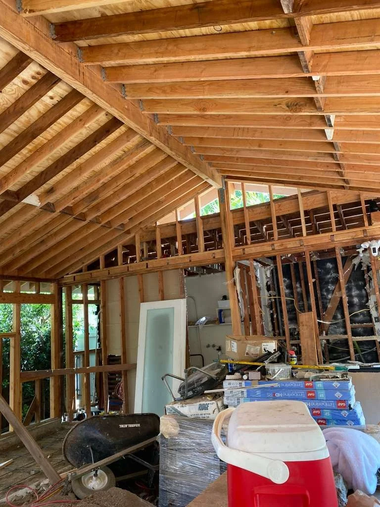 Interior Roof Joists