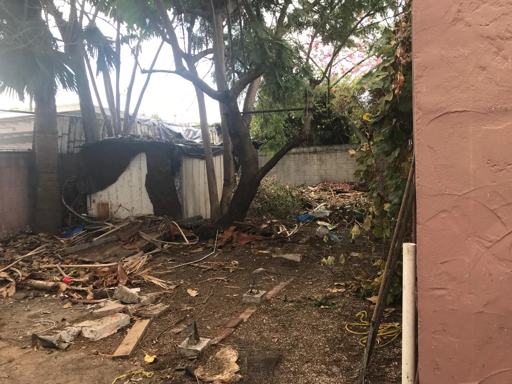 Backyard Debris
