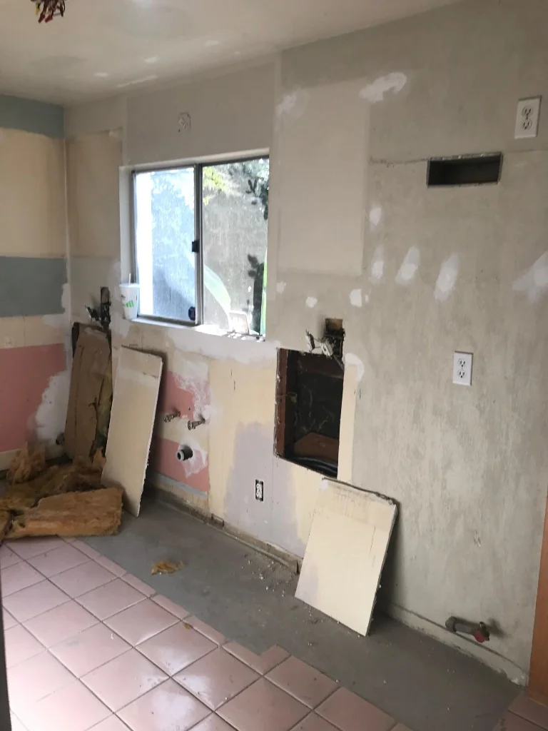 Kitchen Demo 1