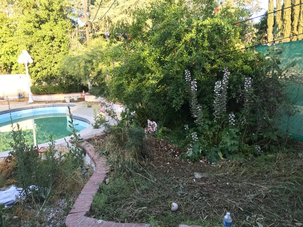Original Unmaintained Pool Deck Before